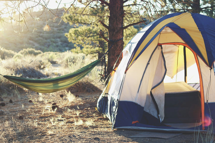 Tents and Hammocks